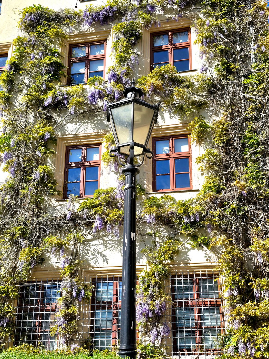 Historic old town of Lutherstadt Wittenberg, Germany