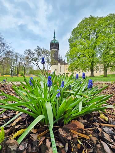 Historic old town of Lutherstadt Wittenberg