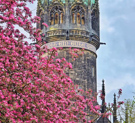 Historic old town of Lutherstadt Wittenberg
