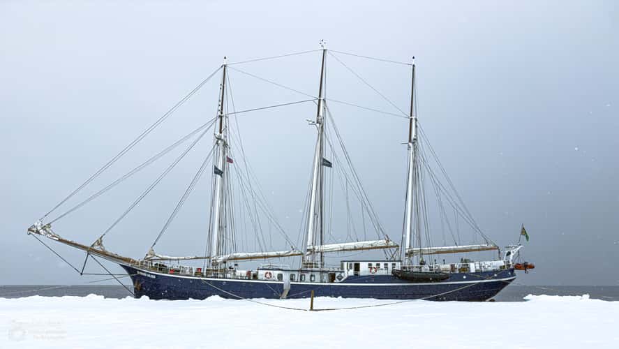 In the pack ice above 80 degrees latitude near Svalbard