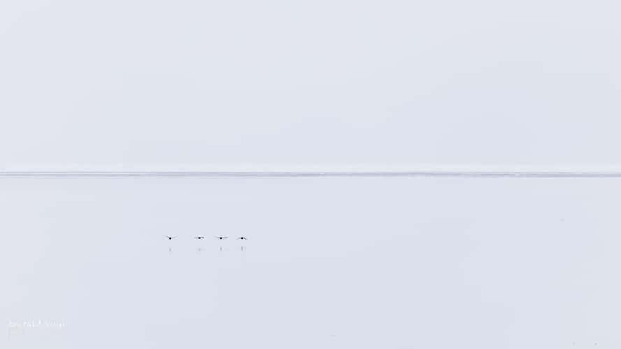 In the pack ice above 80 degrees latitude near Svalbard
