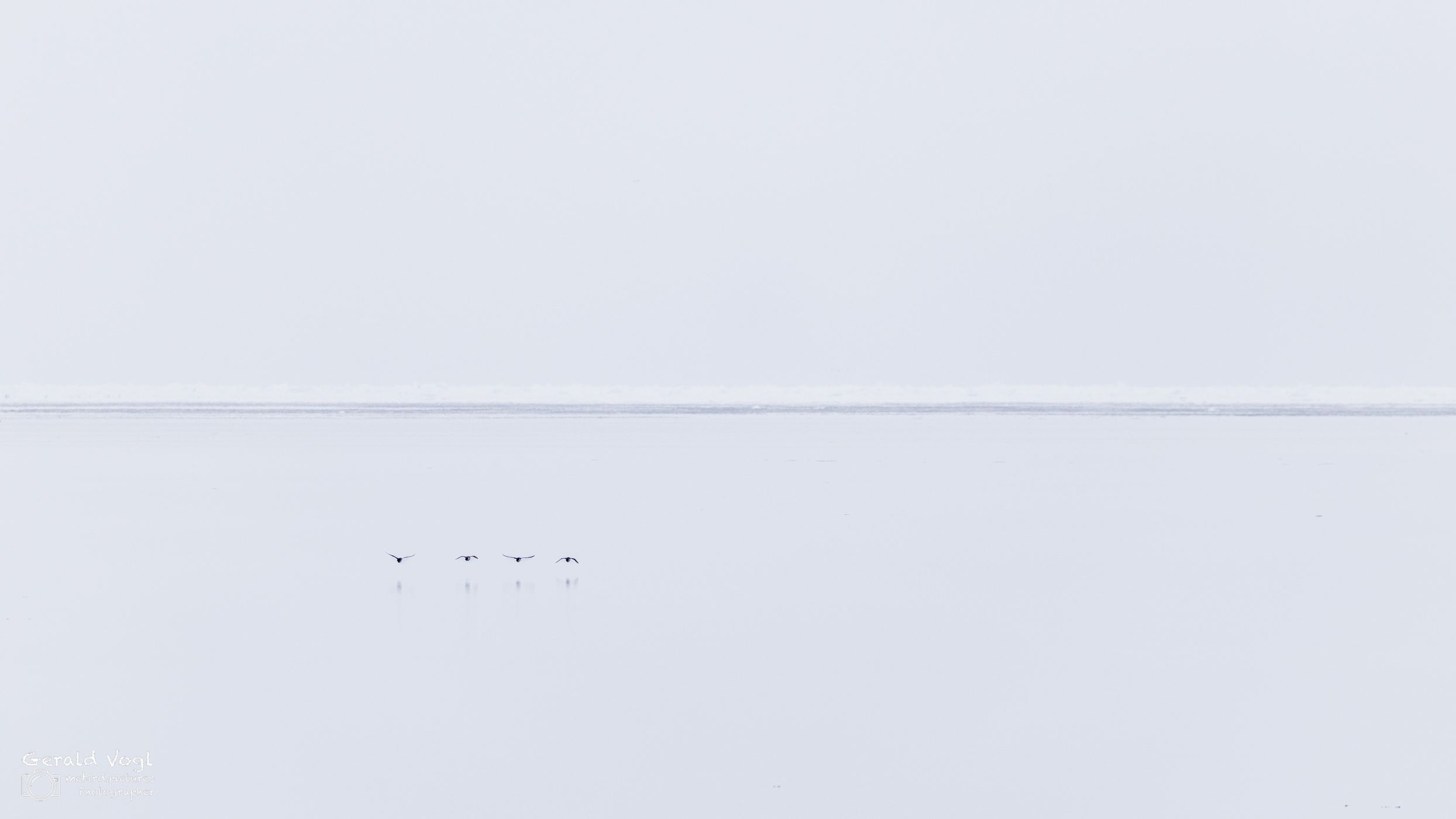 In the pack ice above 80 degrees latitude near Svalbard, Svalbard & Jan Mayen Islands