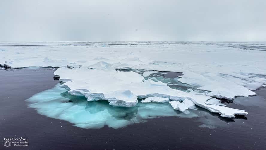 In the pack ice above 80 degrees latitude near Svalbard