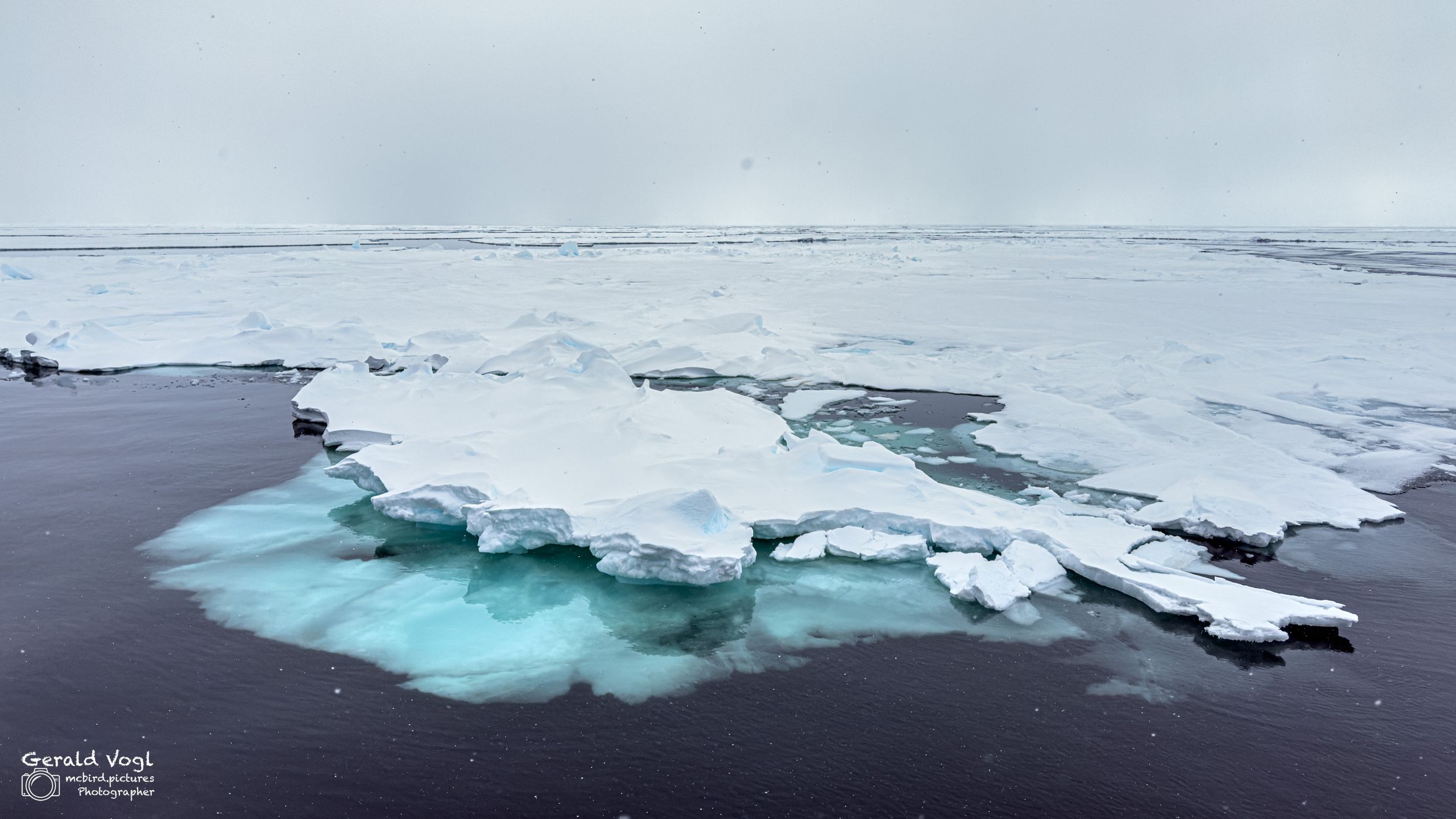 In the pack ice above 80 degrees latitude near Svalbard, Svalbard & Jan Mayen Islands