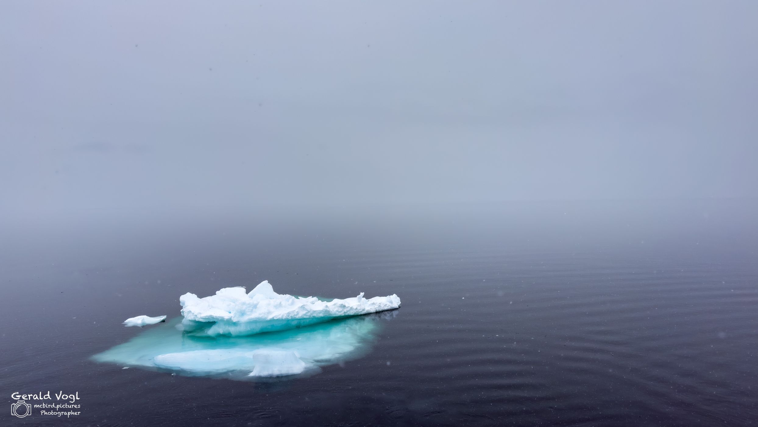 In the pack ice above 80 degrees latitude near Svalbard, Svalbard & Jan Mayen Islands