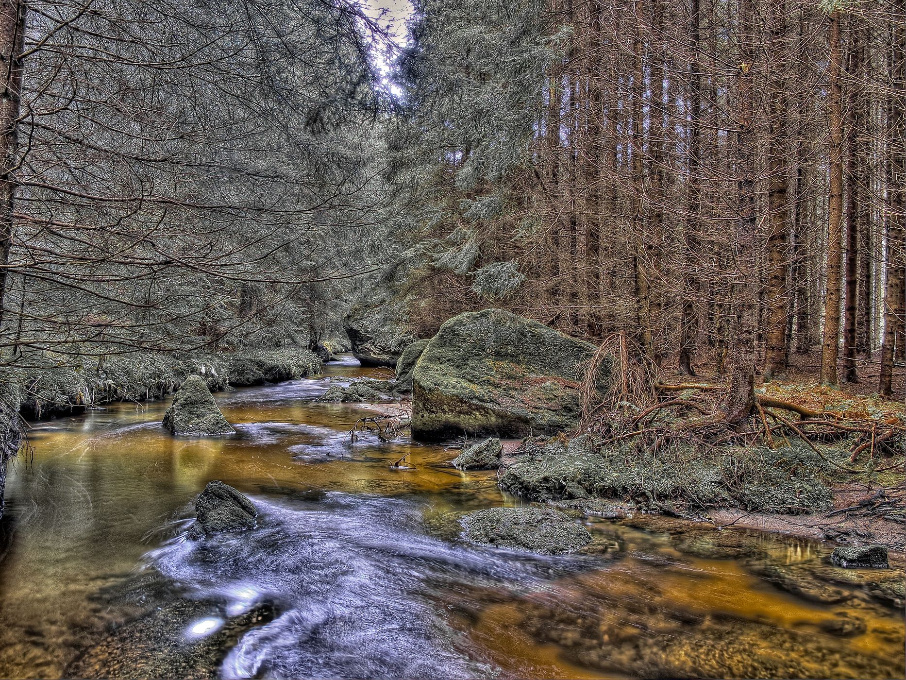 junge zwettl klauskapell, Austria