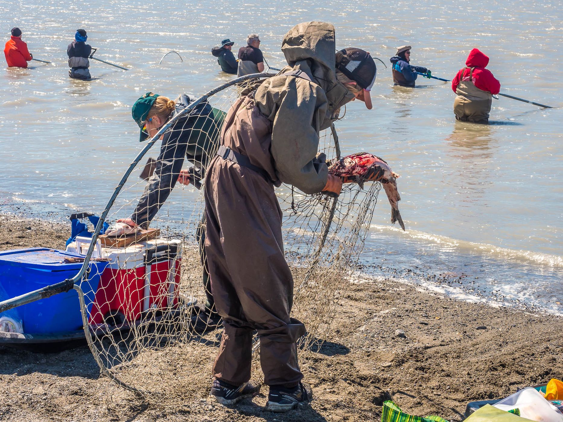 Kasilof Beach Dipnetting, USA