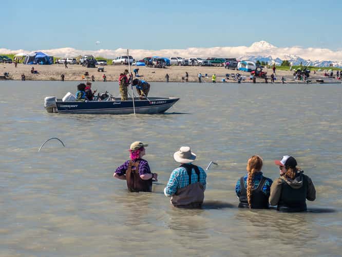 Kasilof Beach Dipnetting