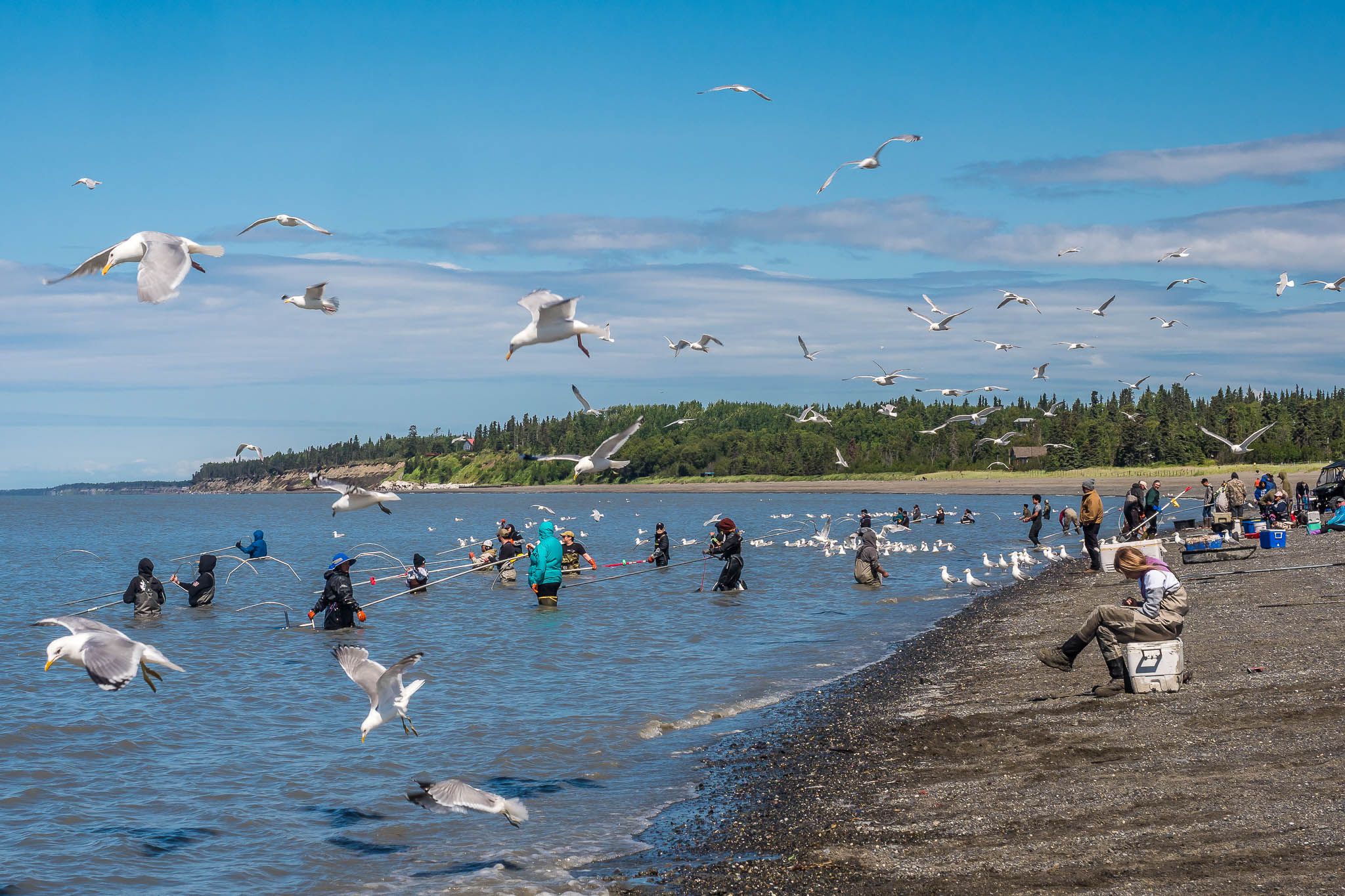 Kasilof Beach Dipnetting, USA