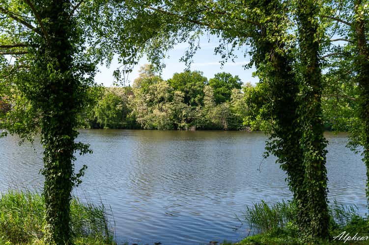 Lac de Creutzwald