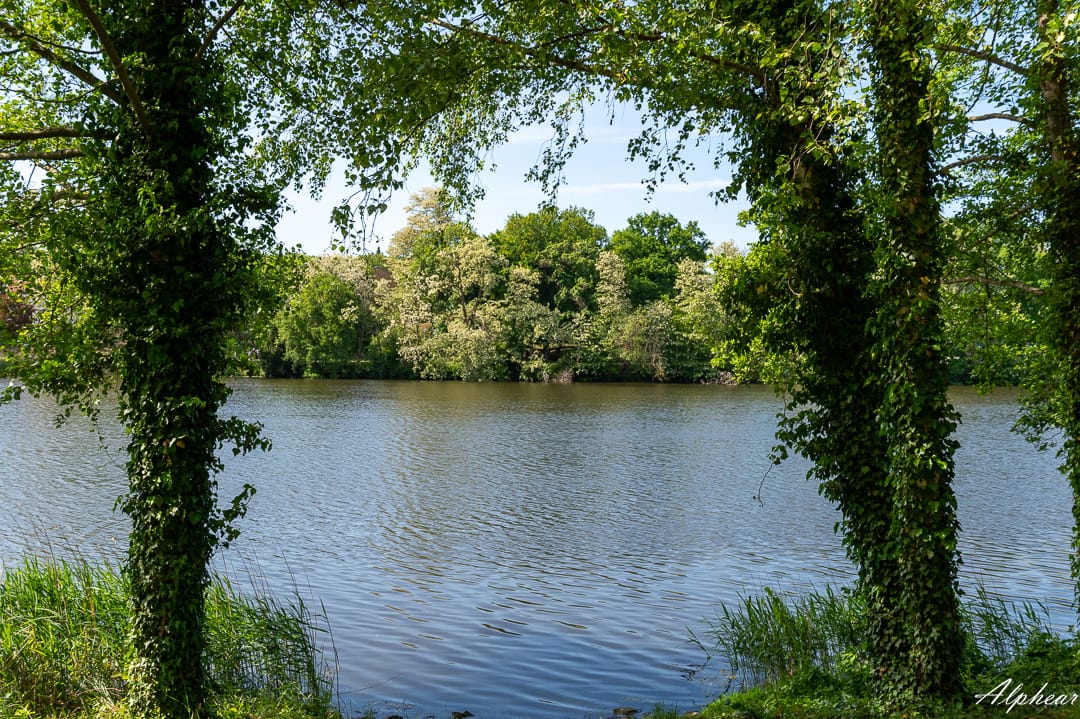 Lac de Creutzwald, France
