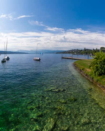 Landiwiese, Zürich