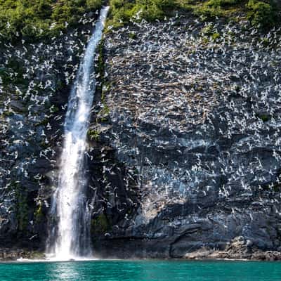 Lowell Glacier Waterfalls, USA