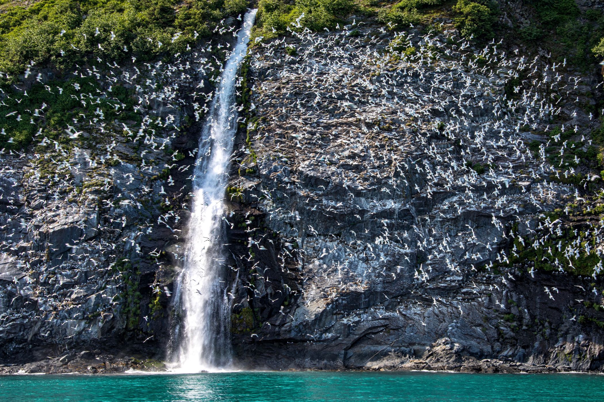 Lowell Glacier Waterfalls, USA
