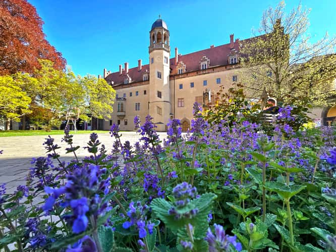Luthers House and courtyard / UNESCO World Heritage Site