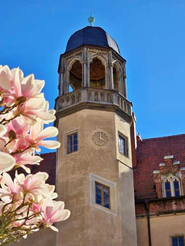 Luthers House and courtyard / UNESCO World Heritage Site