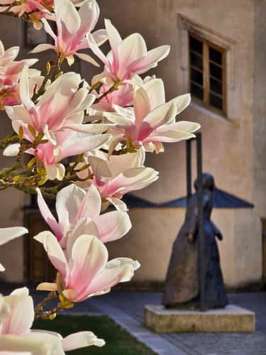 Luthers House and courtyard / UNESCO World Heritage Site
