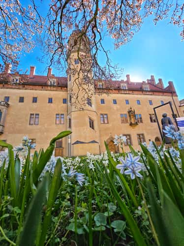 Luthers House and courtyard / UNESCO World Heritage Site