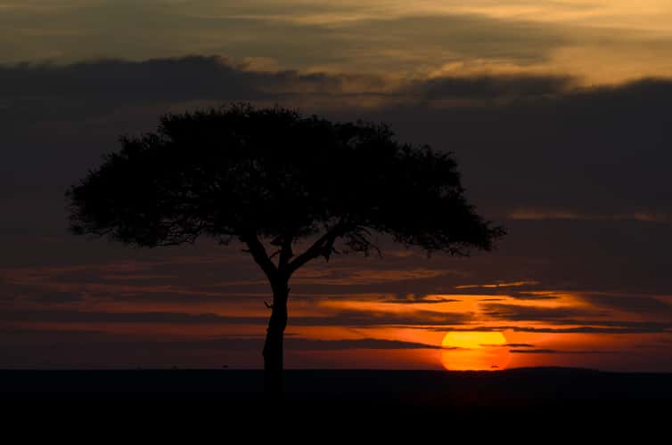 Masai Mara National Reserve
