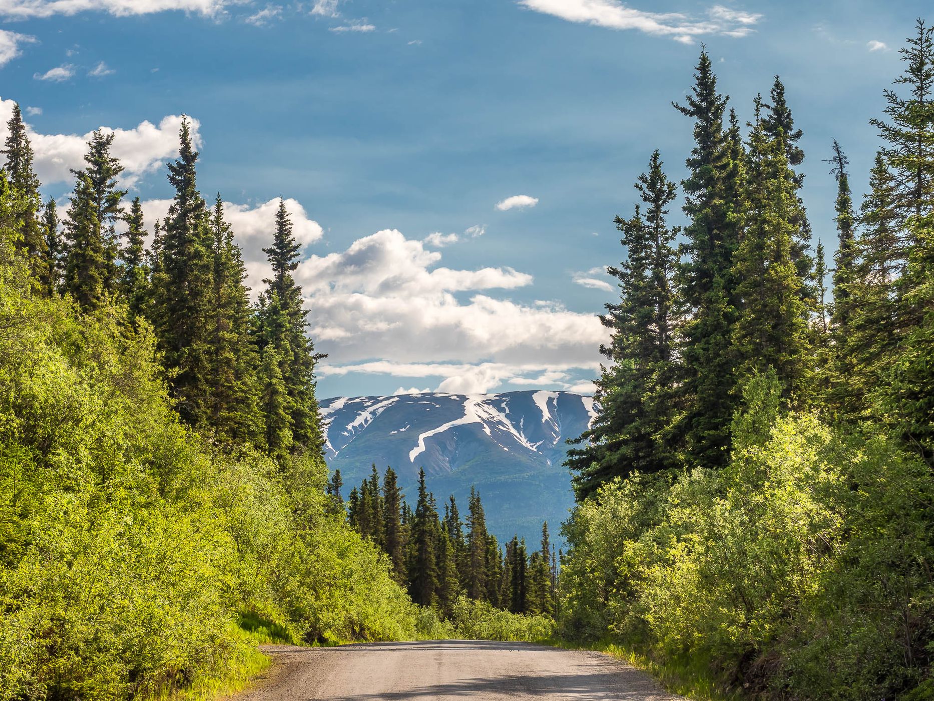 McCarthy Road, USA