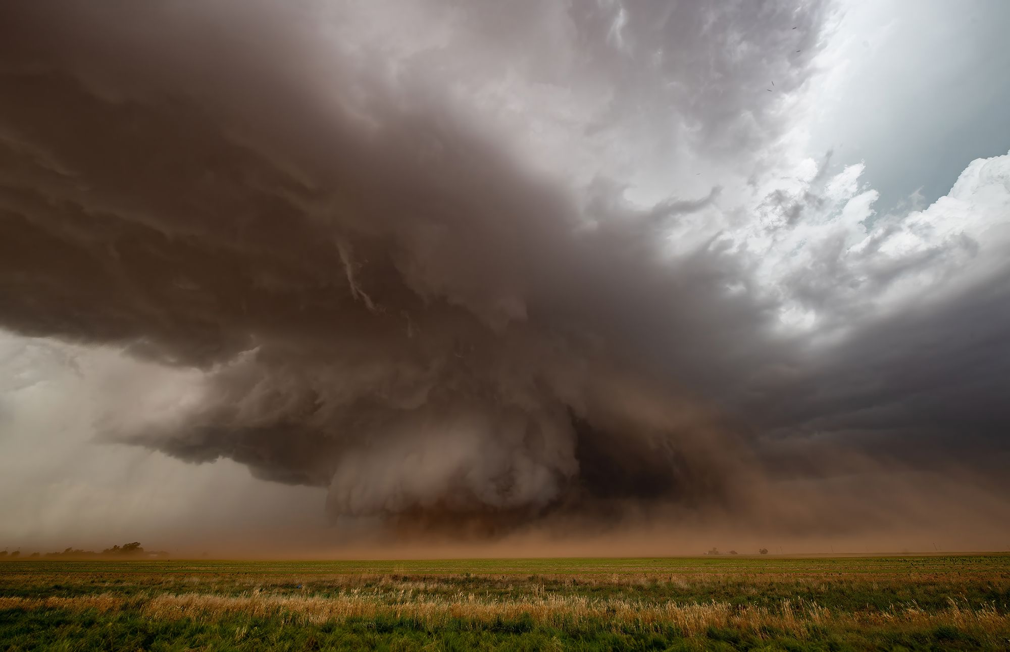 Morton wedge tornado, USA