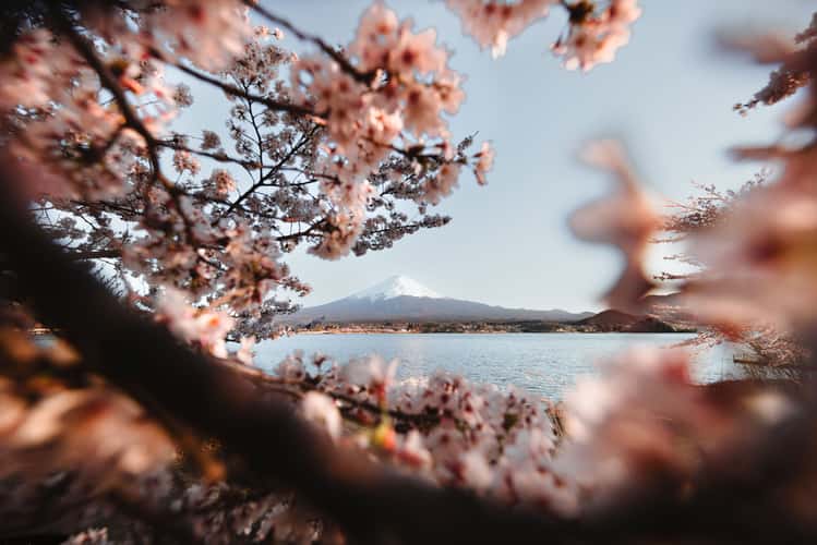 Mount Fuji view from Lake Kawaguchi