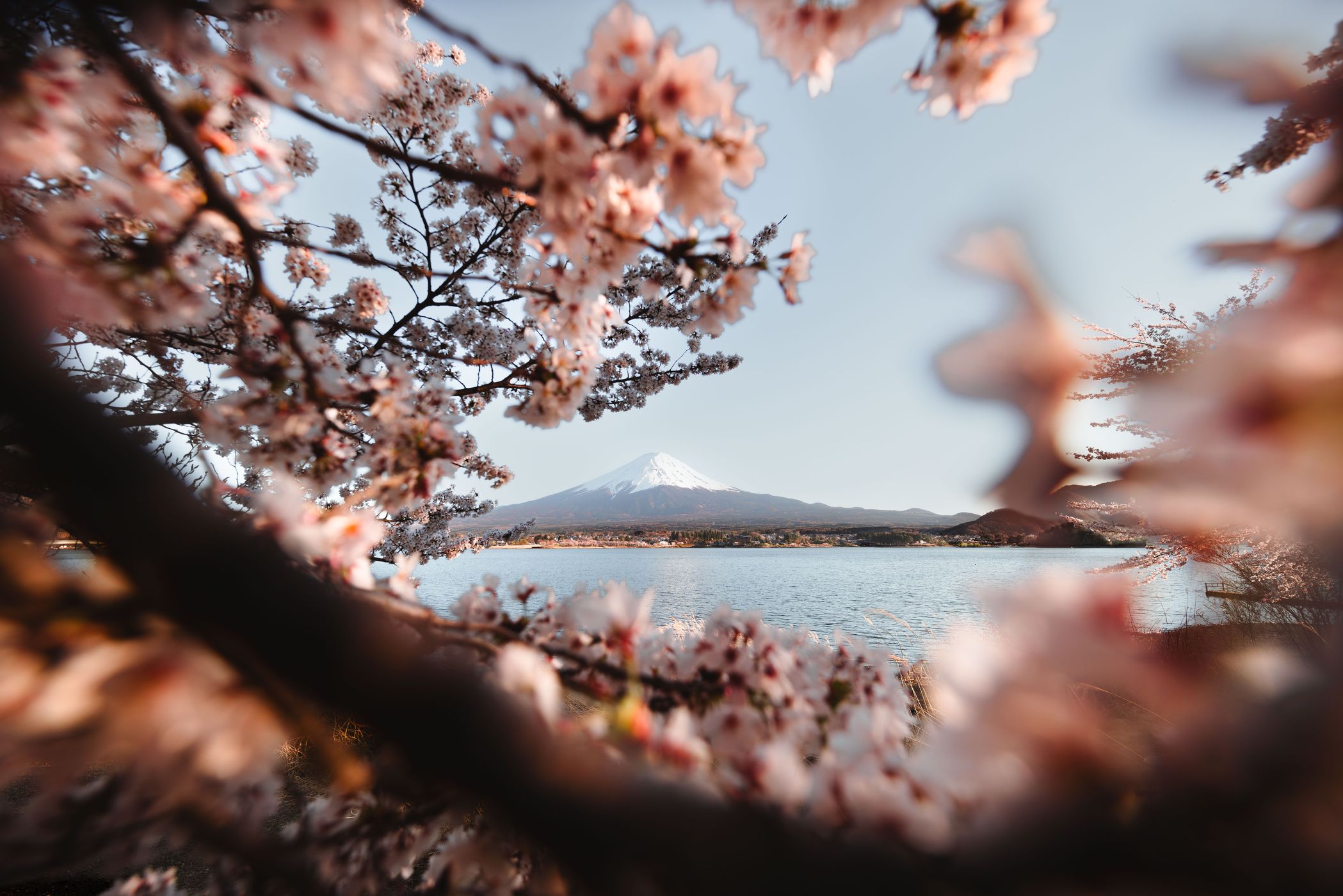 Mount Fuji view from Lake Kawaguchi, Japan