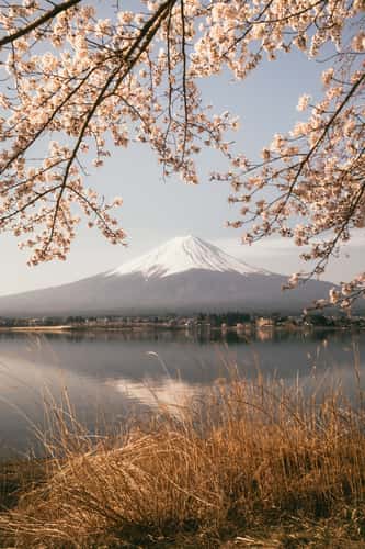 Mount Fuji view from Lake Kawaguchi