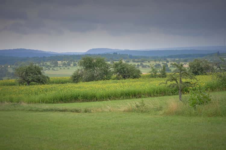 Northern Black Forest