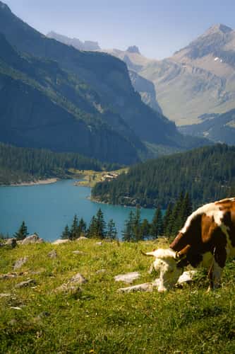 Oeschinensee