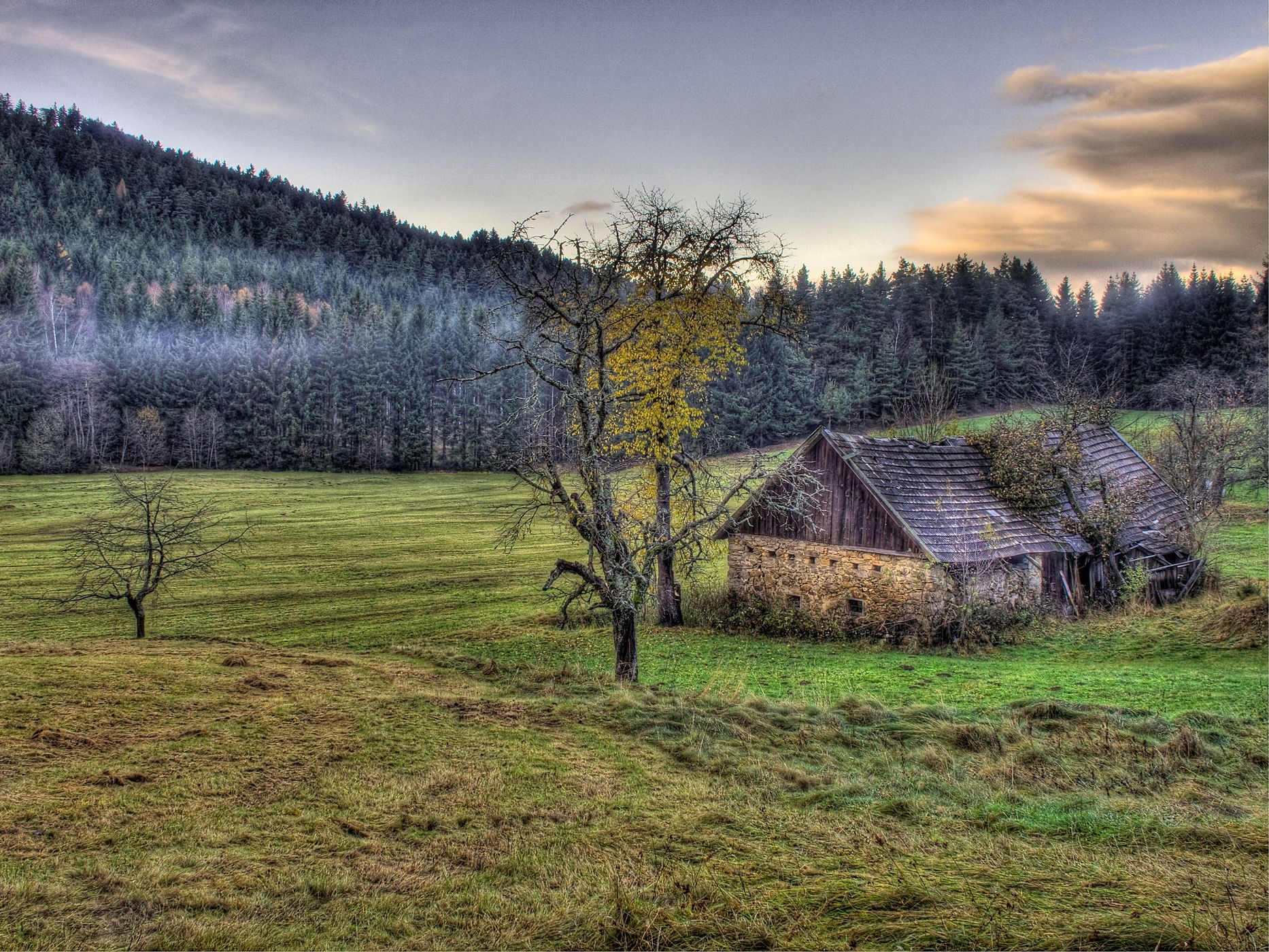 Old farmhouse near Bad Großpertholz, Austria