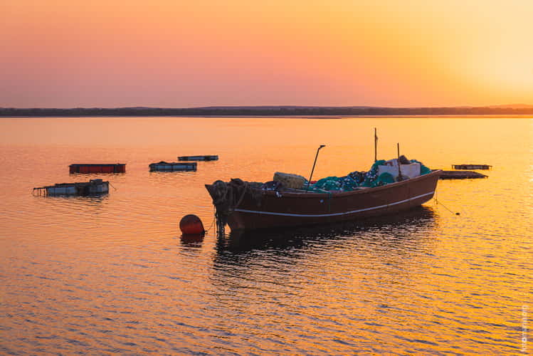 Old port, Umm Al Quwain