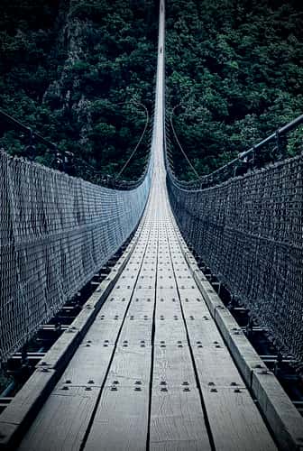 On the rope bridge