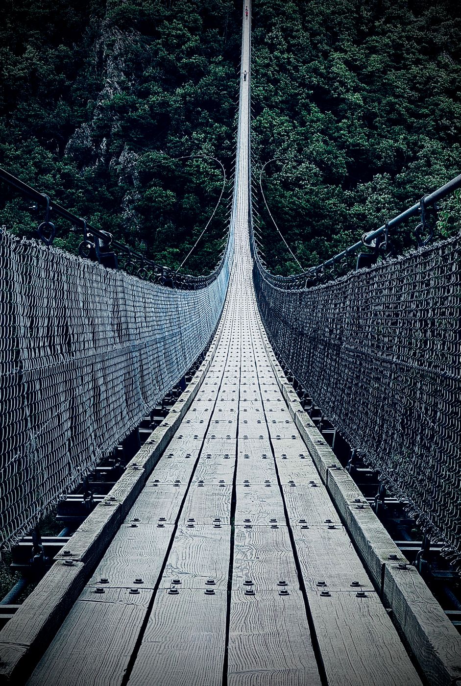 On the rope bridge, Germany