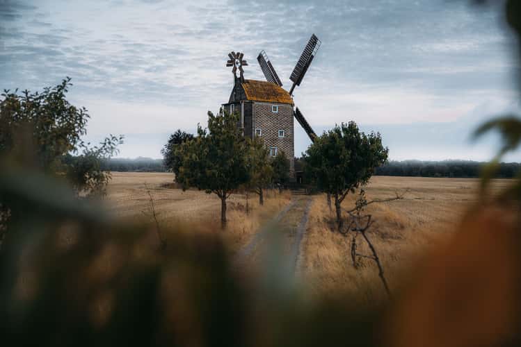 Paltrock Windmill, Saalow