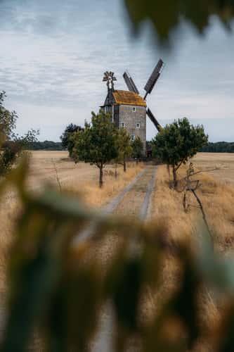Paltrock Windmill, Saalow