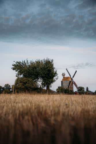 Paltrock Windmill, Saalow