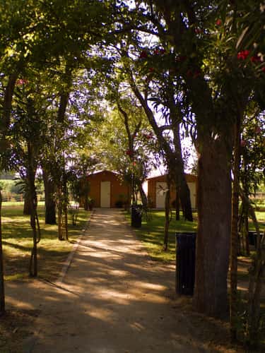 Parque do Carril - Parque de Merendas de Alpiarça