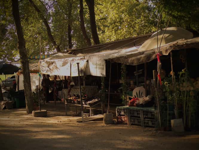 Parque do Carril - Parque de Merendas de Alpiarça