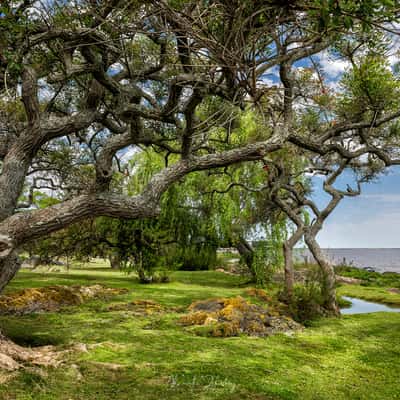 Parque Lineal, Colonia del Sacramento, Uruguay