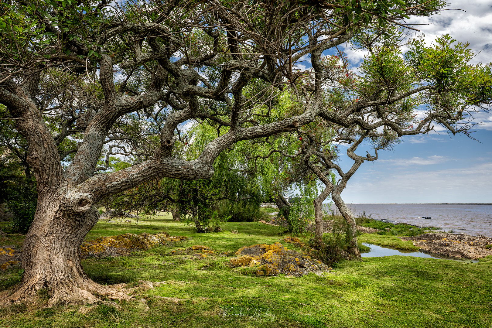 Parque Lineal, Colonia del Sacramento, Uruguay