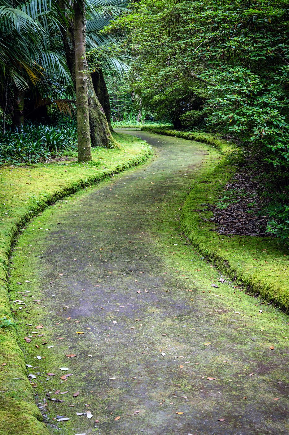 Parque Terra Nostra, Portugal