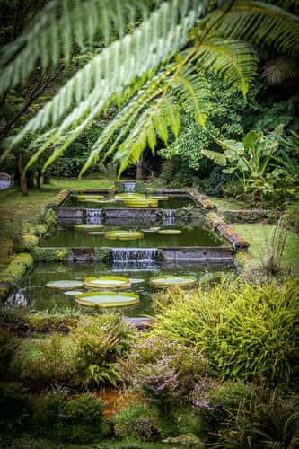 Parque Terra Nostra