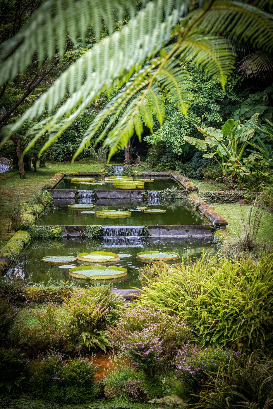 Parque Terra Nostra, Portugal