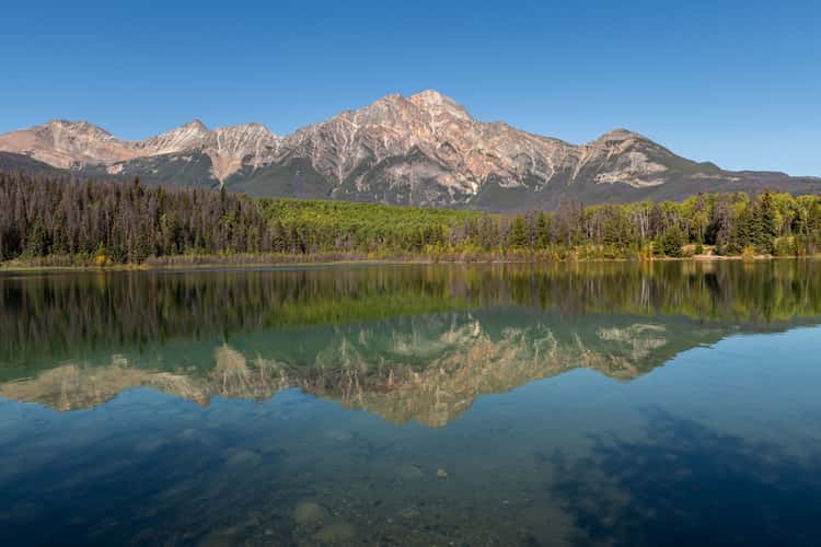 Patricia Lake