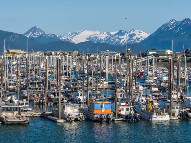 Port of Homer