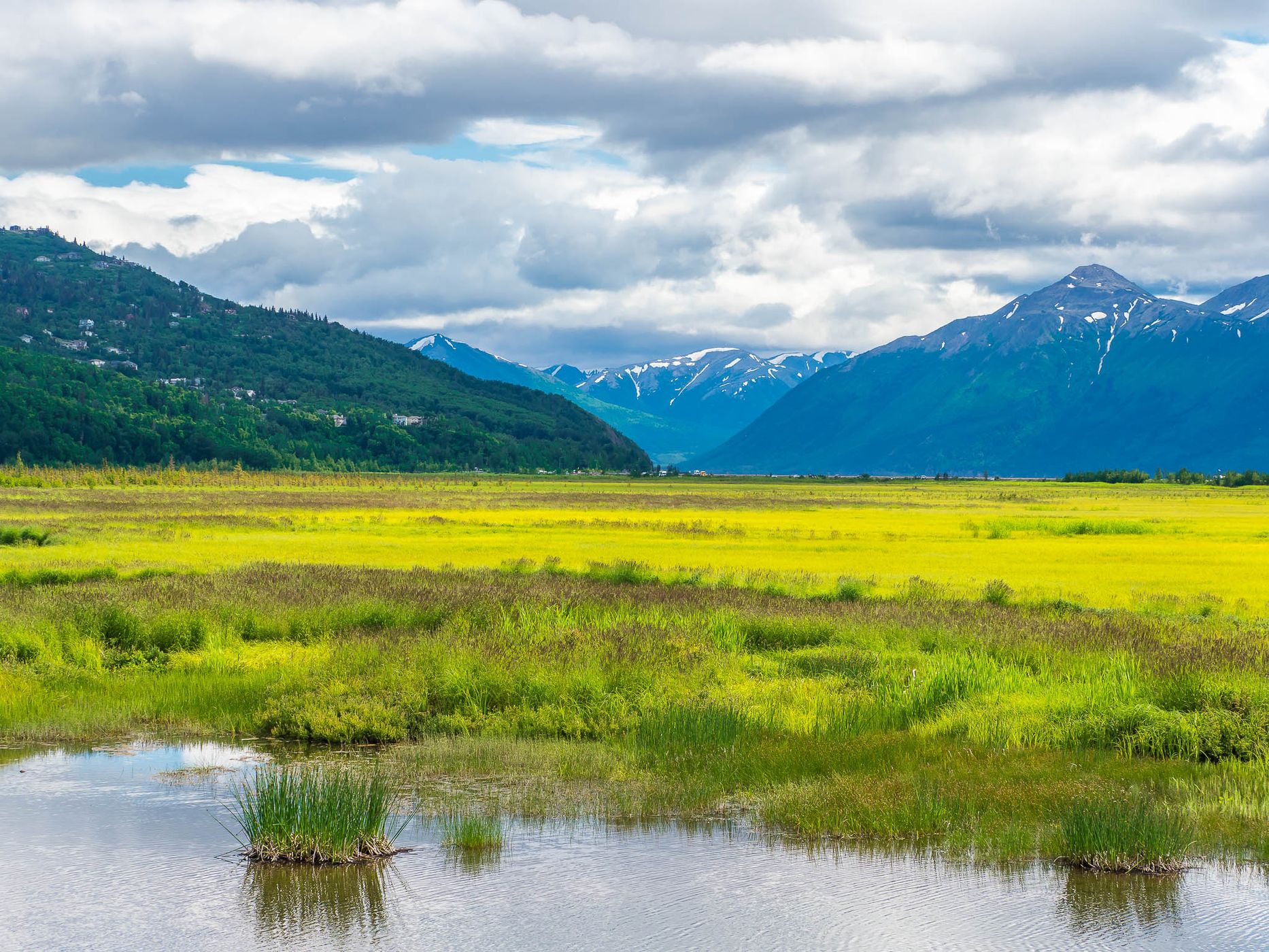 Potter Marsh, USA