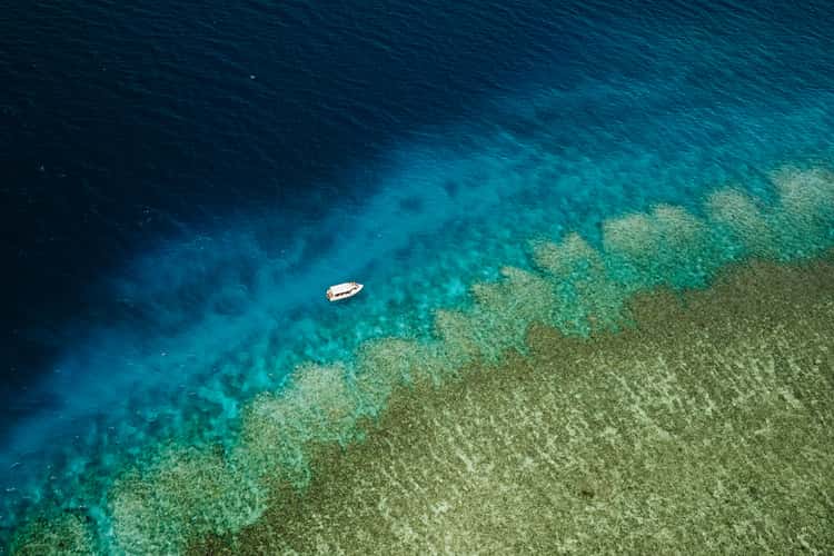 Rainbow reef, Somosomo Strait