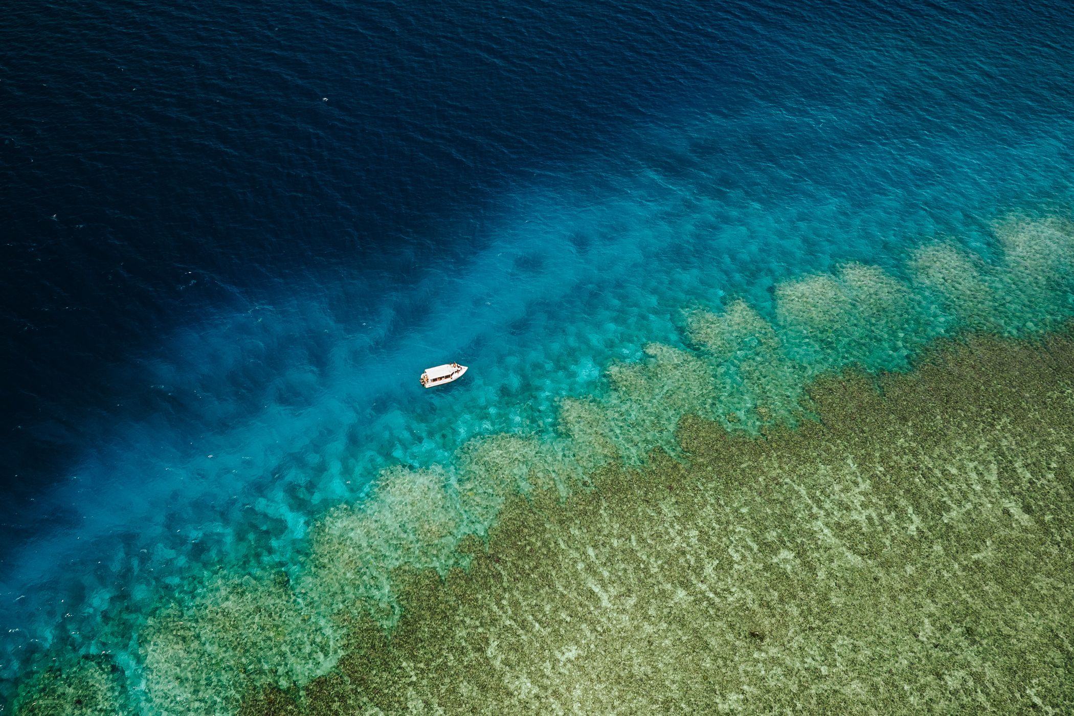 Rainbow reef, Somosomo Strait, Fiji