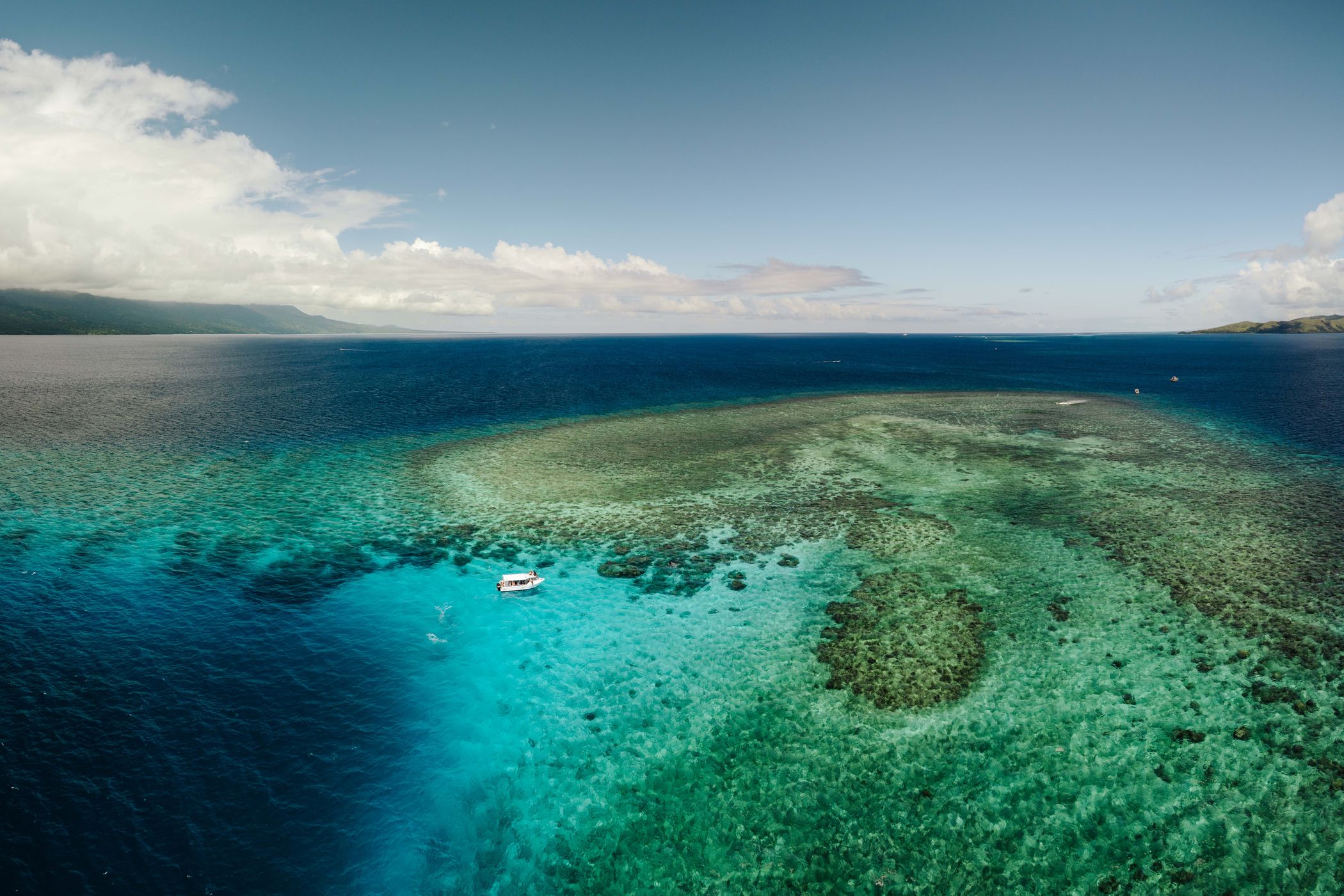 Rainbow reef, Somosomo Strait, Fiji